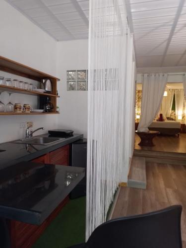 une cuisine avec un évier et un rideau de douche dans l'établissement Space One, à Manuel Antonio