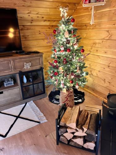un arbre de Noël dans un salon avec un canapé dans l'établissement Gîte Libre’Air, à Redu
