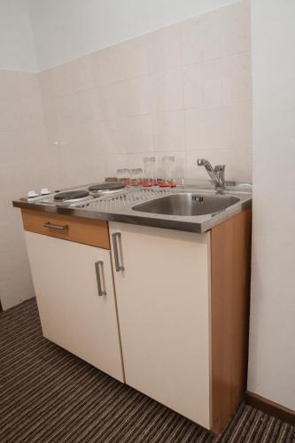 a kitchen with a sink and a counter at Hotel Damis in Pale