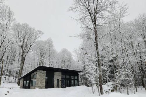 a cabin in the woods with snow on the trees at Chalet FEU en pleine nature à Tremblant. in Lac-Superieur