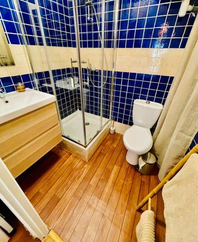 une salle de bain avec une douche, des toilettes et un lavabo dans l'établissement Studio cosy centre historique, à Montpellier