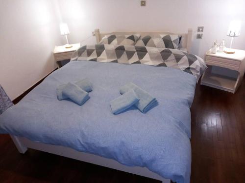 a bedroom with a bed with blue pillows on it at Casa Luminosa in Metsovo