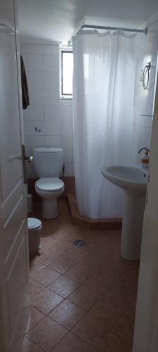 a bathroom with a toilet and a shower and a sink at Home garden and big parking in Tripolis