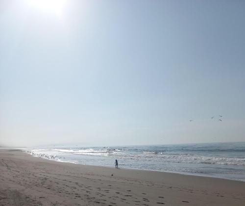 una persona caminando por la playa cerca del océano en Departamento de verano - CAMANA, en Camaná