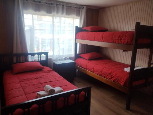 1 dormitorio con 2 literas y ventana en Umantü Hostel, en Panguipulli
