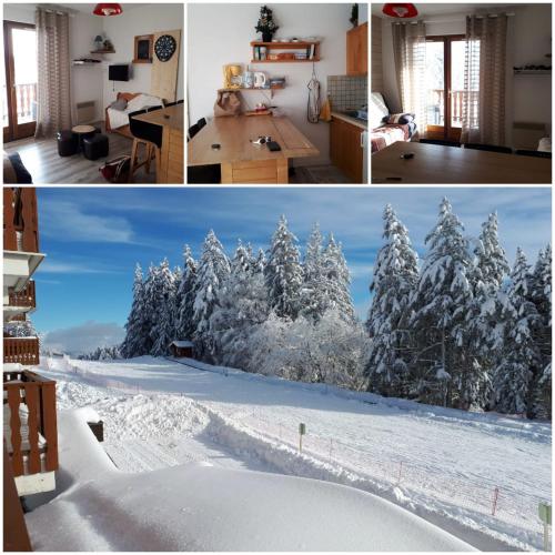 a collage of three pictures with snow covered trees at Appartement 5 personnes en station Savoie Grand Revard in Trévignin