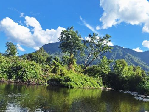een rivier met bomen en bergen op de achtergrond bij Cabañas Trabun Melipeuco in Melipeuco