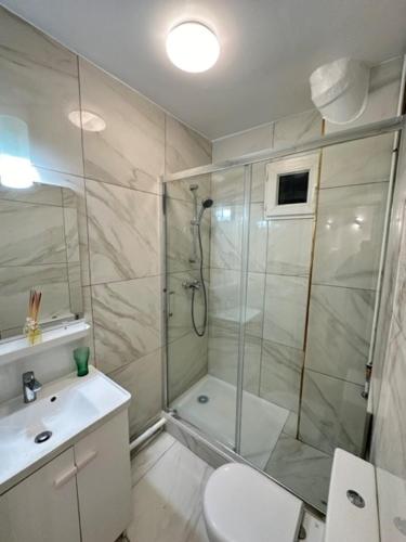 une salle de bain avec une douche, des toilettes et un lavabo dans l'établissement SCI IMMO VOLTAIRE, à Paris