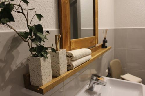 ein Badezimmer mit einem Waschbecken, einem Spiegel und Pflanzen in der Unterkunft Ferienwohnung AM SPREEUFER in Hangelsberg