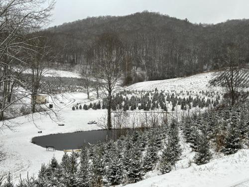 a snow covered field with trees and a pond at Songbird Cabin in Vilas