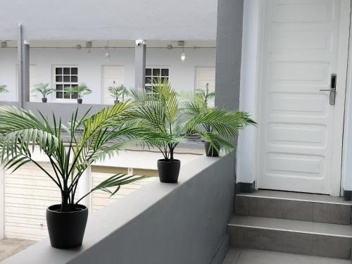 Room27 في لا لاغونا: اثنين من النباتات الفخارية تقف على حافة بجوار الباب
