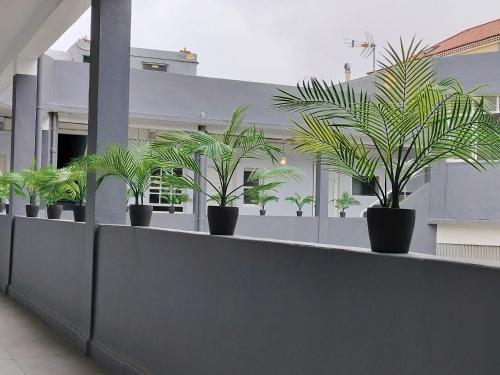 a row of potted plants on top of a building at Room27- city center in La Laguna