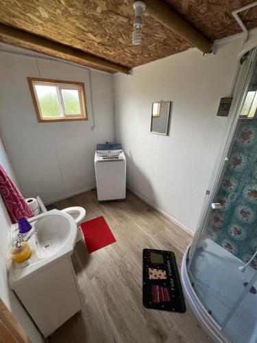 La petite salle de bains est pourvue d'un lavabo et d'une douche. dans l'établissement Los avellanos, à Chonchi