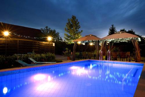 uma piscina à noite com luzes acesas em Vi-Li Panzió em Maklár