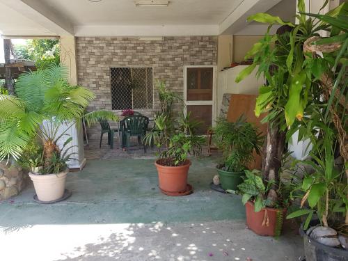 a patio with a bunch of plants in pots at Central Nadi - Lodge 2 in Nadi