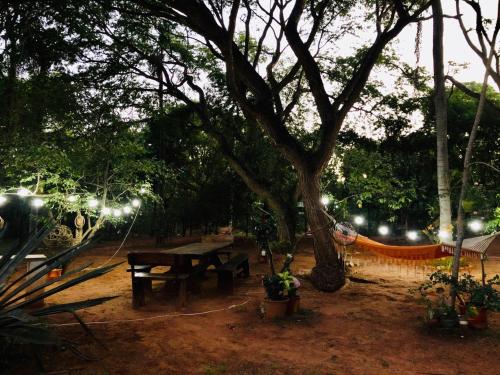 Κήπος έξω από το Charmantes Gästehaus im Feriengebiet Ytu, Caacupé (Neubau 2022)