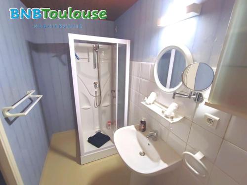 une salle de bain avec une douche, un lavabo et un miroir dans l'établissement ► BNB TOULOUSE ► Le Charmant Balmanais • Clim • Garage • 24/7, à Balma