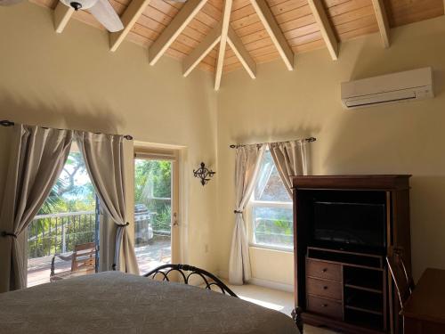 1 dormitorio con 1 cama, TV y ventana en COCONUT BREEZE VILLA: MESMERIZING VIEWS, COOLING TRADEWINDS, en Coral Bay