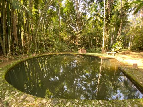 un charco de agua en medio de un bosque en Pousada Sítio Itaúna, en Penedo