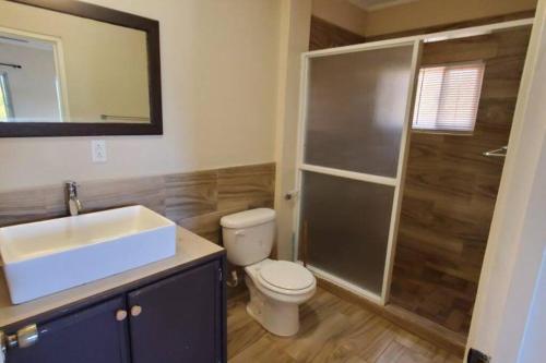 a bathroom with a toilet and a sink and a shower at 2BR apt near restaurant, beach, nightlife & convenience store in Lance aux Épines