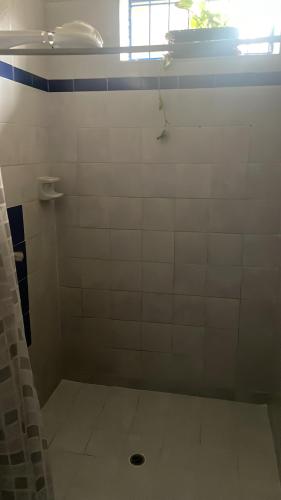 a bathroom with a shower with white tiles at Hacienda San Francisco in Venecia