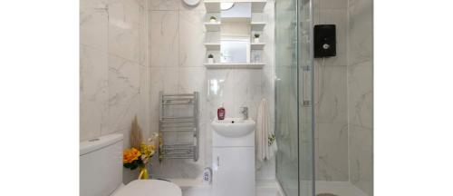 a bathroom with a shower and a toilet and a sink at Newly Renovated Cozy Studio in North London in London