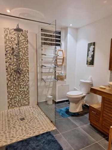uma casa de banho com um WC e uma cabina de duche em vidro. em L'EDEN DE JOSEPHINE em Le Moule