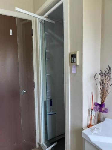 a glass shower door in a bathroom next to a sink at Glenview home in Hamilton