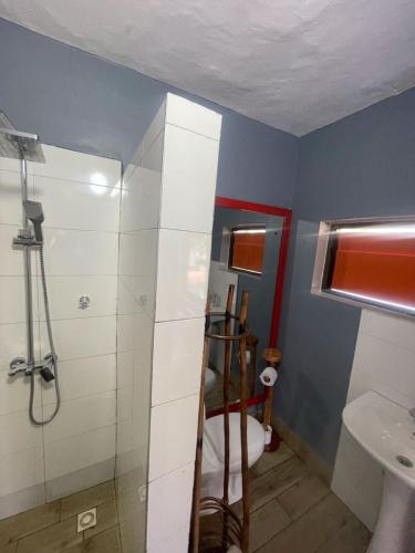 a bathroom with a shower and a toilet and a sink at Afiki in Ankwanda