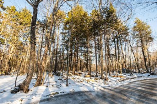 a road in a forest with snow and trees at Chalet TERRE en harmonie avec la nature, Tremblant in Lac-Superieur