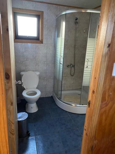 La salle de bains est pourvue de toilettes et d'une douche en verre. dans l'établissement Departamento con vista al Mar, à Ancud