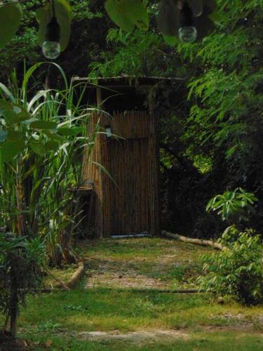 a wooden door in the middle of a forest at Kaitoon's River House in Ratchaburi