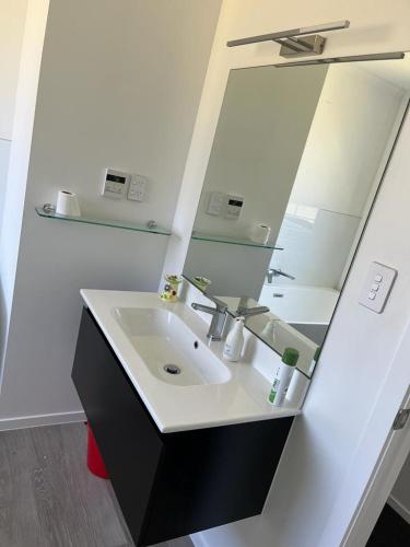 a bathroom with a sink and a large mirror at Nature Haven, City Close in Upper Hutt