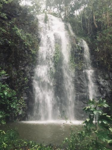 a waterfall in the middle of a forest at Nimbin waterfall retreat in Nimbin