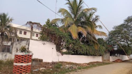 een wit gebouw met een palmboom ervoor bij Vedic Villa,Varanasi in Varanasi
