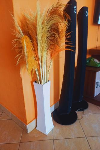 Palm Villas – Photos 3