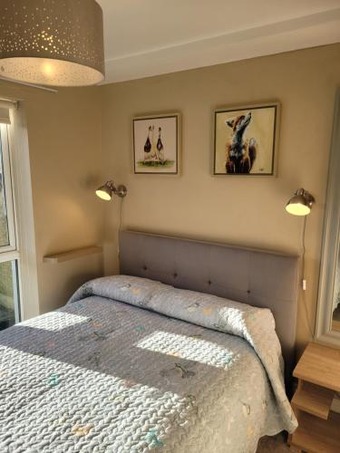 a bedroom with a bed and two pictures on the wall at Kilkenny City Apartment in Kilkenny