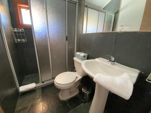 a bathroom with a toilet and a sink and a shower at Departamento estudio para dos personas in Pucón
