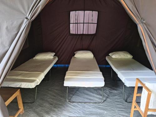 kilka łóżek w namiocie w obiekcie Ella Nine Arch Glamp Site w mieście Ella