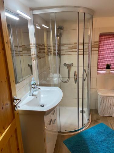 a bathroom with a shower and a sink at Cottage Janovice in Rudník