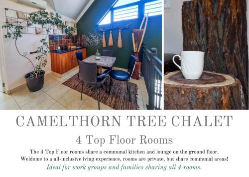 a top floor room with a tree stump table at Eldorado Lodge CC in Kuruman
