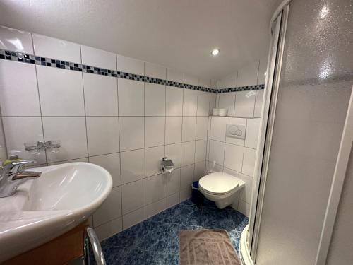 a bathroom with a sink and a toilet and a shower at Haus Ausserbach in Gaschurn