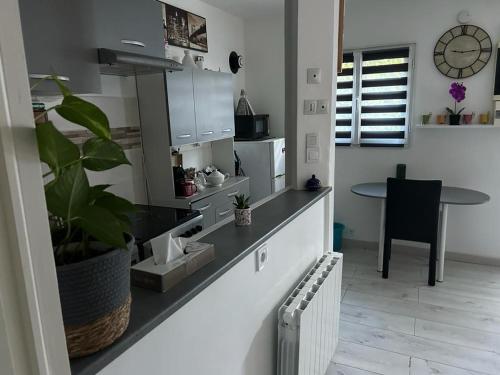 une cuisine avec un comptoir et une table avec une plante dans l'établissement Als garden, à Goussainville