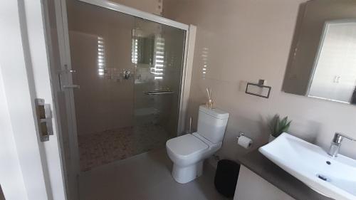 a bathroom with a shower and a toilet and a sink at Albatross @ Kingswood in George