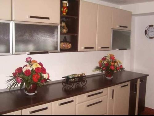 Kuchyň nebo kuchyňský kout v ubytování Pensiunea Cabana Viselor