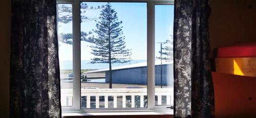 a window with a view of a pine tree at Bluewater Lodge in Napier