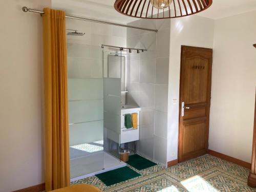baño con ducha y puerta de cristal en Domaine des Lavarines, en Morières-lès-Avignon