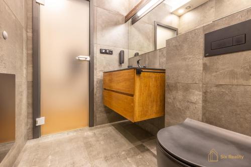 a bathroom with a sink and a toilet at Apt. Plešivec in Abertamy