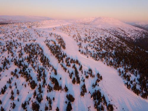an aerial view of a snow covered mountain with trees at Horská chata Termoska in Rokytnice nad Jizerou