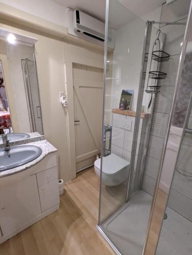 une salle de bain avec douche et toilettes dans l'établissement Charmant gîte au coeur du Centre Ville, à Gérardmer